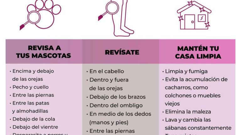 Gobierno de Sonora exhorta a acudir al médico ante síntomas de rickettsiosis*